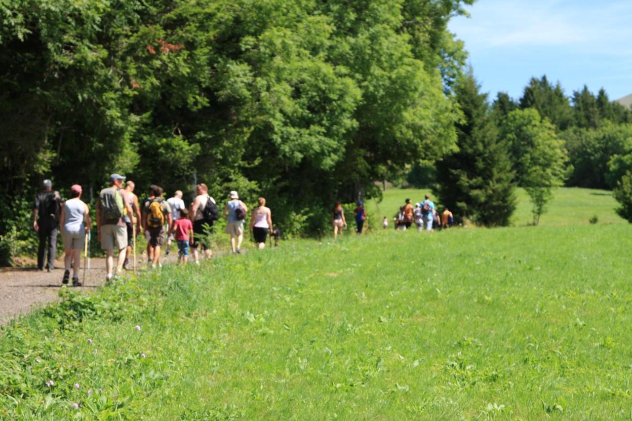 Camping Les Vernieres La Bourboule Sancy 外观 照片